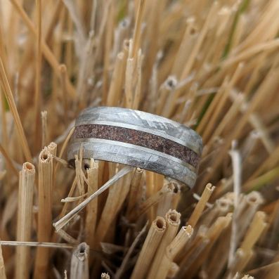 Tyrannosaurus & Gibeon Meteorite Ring Dinosaur Bone Groom's Wedding Band