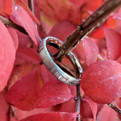 4mm Authentic Genuine Gibeon Meteorite Rings, Gibeon Meteorite Wedding Band with Cobalt Chrome Sleeve