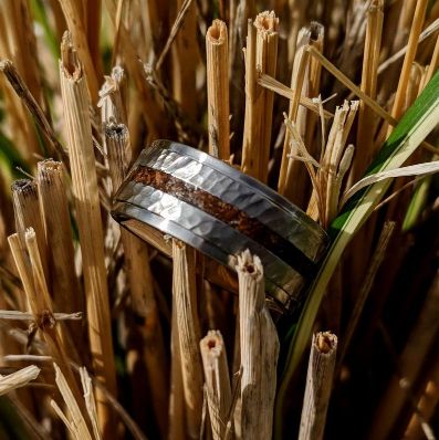 Jurassic Tyrannosaurus Rex T-Rex Dinosaur Bone Fossil Ring Made With Aerospace Grade Titanium