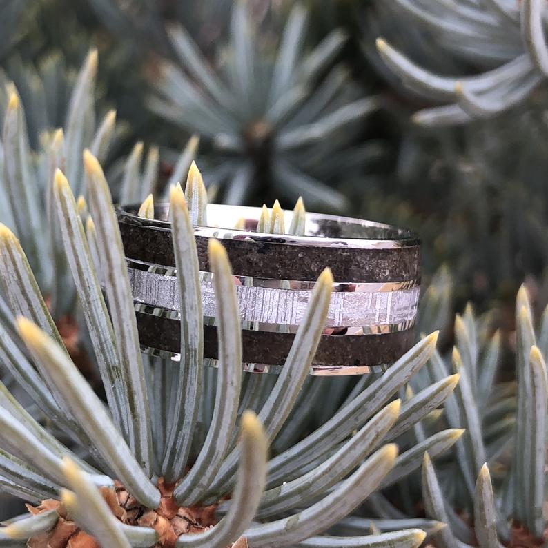 Authentic Tyrannosaurus & Meteorite Ring Dinosaur Bone Groom's Wedding Band