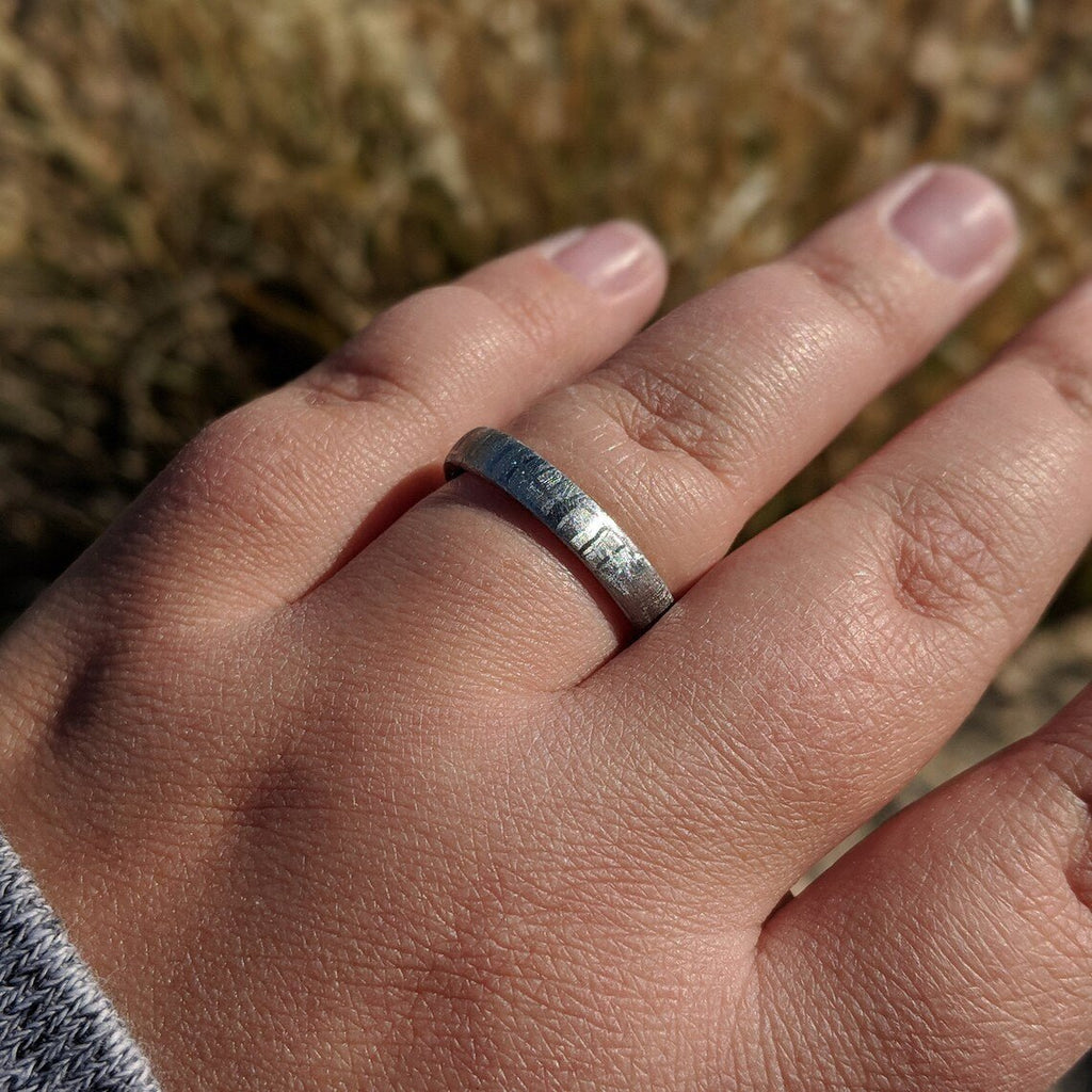Gibeon Meteorite Wedding Band with Cobalt Chrome Sleeve - 4mm Authentic Genuine Gibeon Meteorite Ring