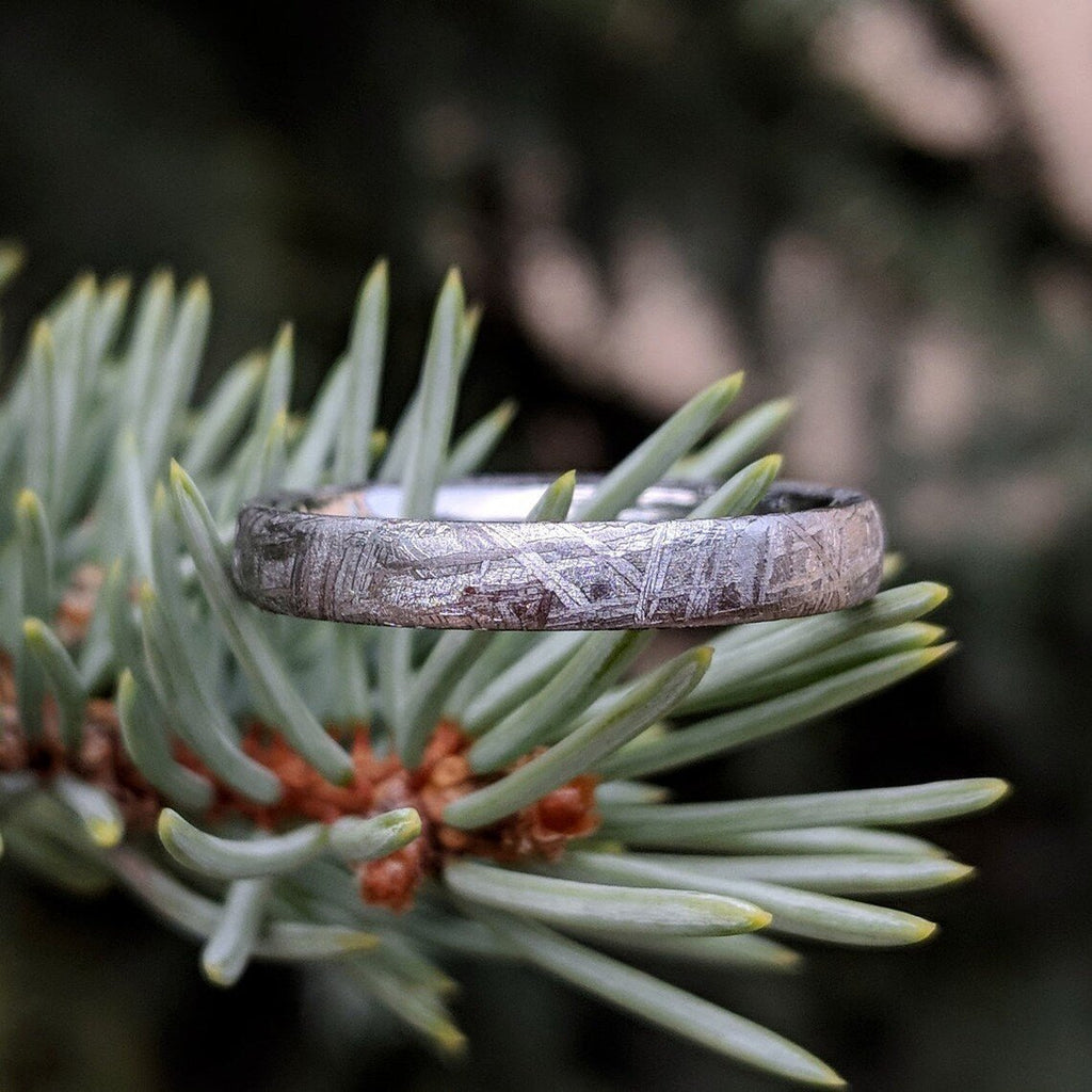 Authentic Genuine Gibeon Meteorite Rings-3mm Gibeon Meteorite Wedding Band with Cobalt Chrome Sleeve