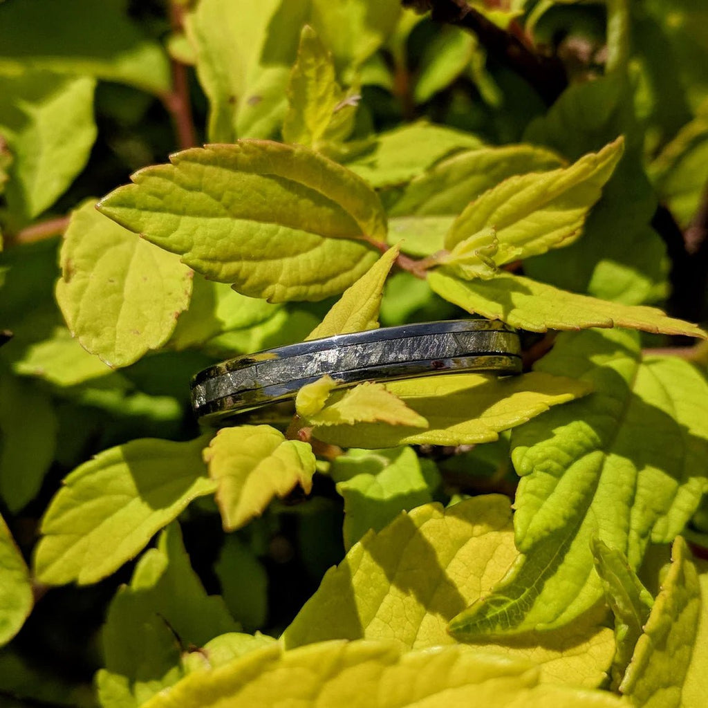 3mm Comfort Fit Women's Gibeon Meteorite Ring-3F Ladies Gibeon Meteorite Bands