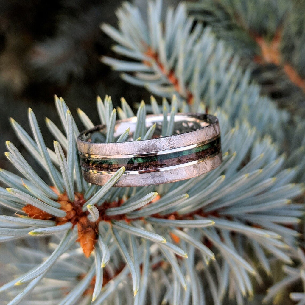 8mm Dinosaur Bone and Gibeon Meteorite Ring, Box Elder Burl Pinstripe, Custom Made Meteorite Wedding Band