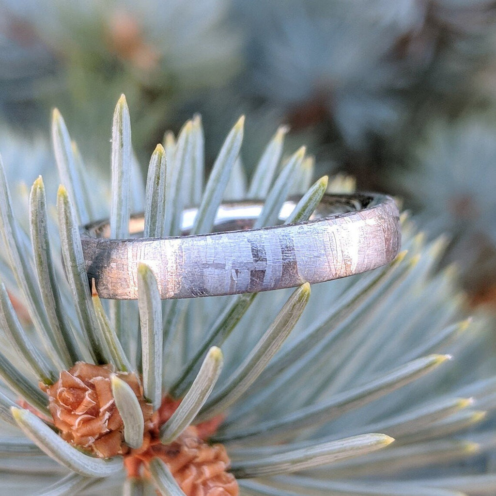 Gibeon Meteorite Wedding Band with Cobalt Chrome Sleeve - 4mm Authentic Genuine Gibeon Meteorite Ring