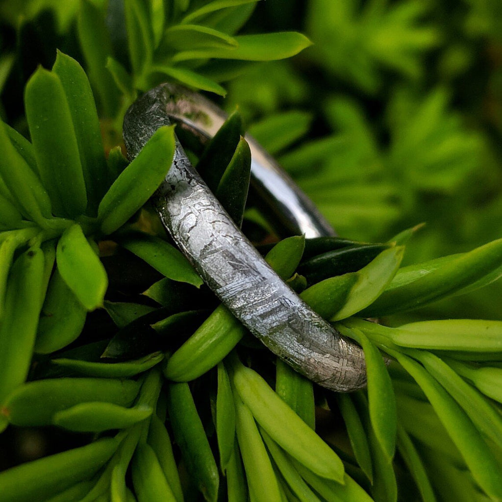 Authentic Genuine Gibeon Meteorite Rings-3mm Gibeon Meteorite Wedding Band with Cobalt Chrome Sleeve
