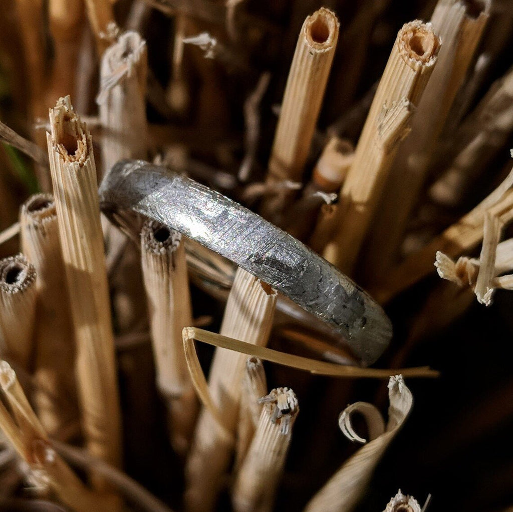 Authentic Genuine Gibeon Meteorite Rings-3mm Gibeon Meteorite Wedding Band with Cobalt Chrome Sleeve