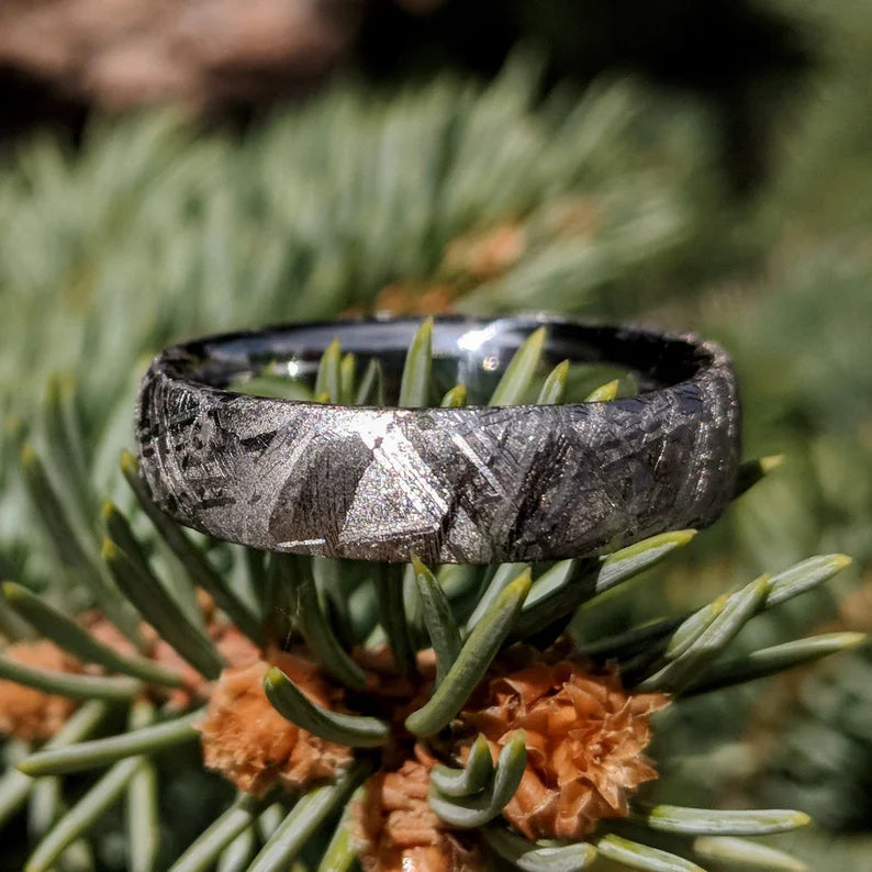 6mm Authentic Genuine Gibeon Meteorite Rings - Men's Wedding Bands